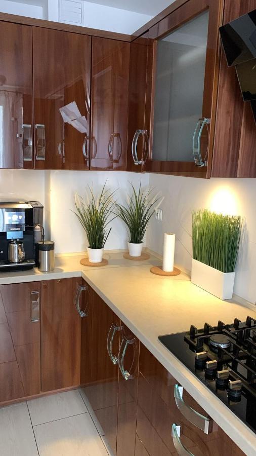 Golden Apartament Legionow Stary Toruń Esterno foto